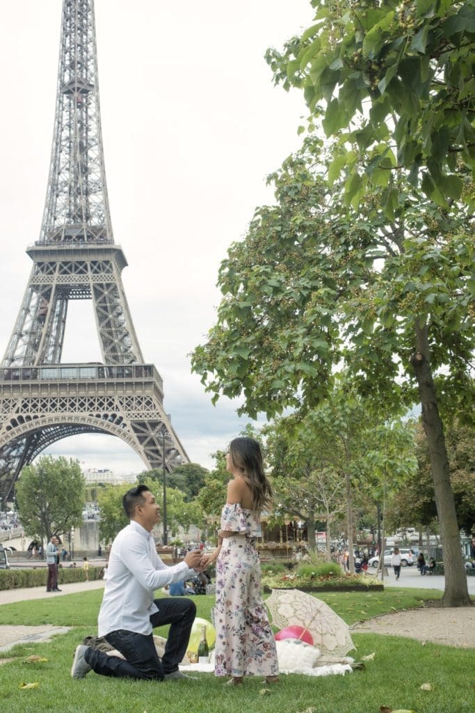 Paris secret proposal 