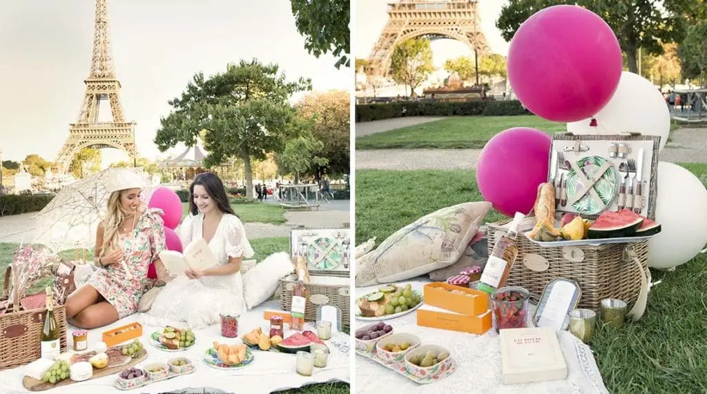 paris-proposal-picnic